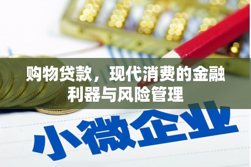 靖西购物贷款，现代消费的金融利器与风险管理