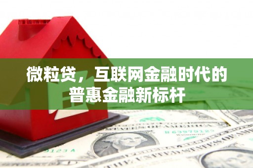 靖西微粒贷，互联网金融时代的普惠金融新标杆