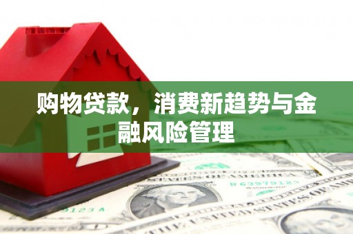 靖西购物贷款，消费新趋势与金融风险管理