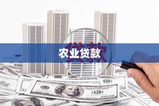 靖西农业贷款
