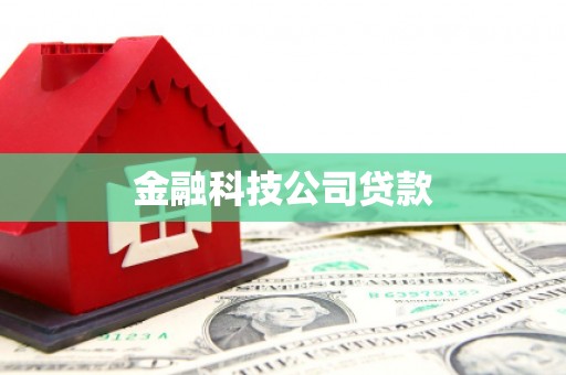 靖西金融科技公司贷款