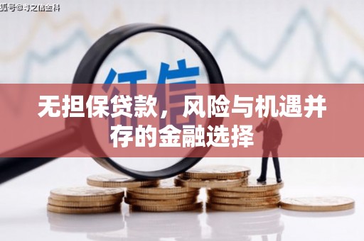 靖西无担保贷款，风险与机遇并存的金融选择