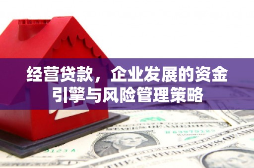 靖西经营贷款，企业发展的资金引擎与风险管理策略