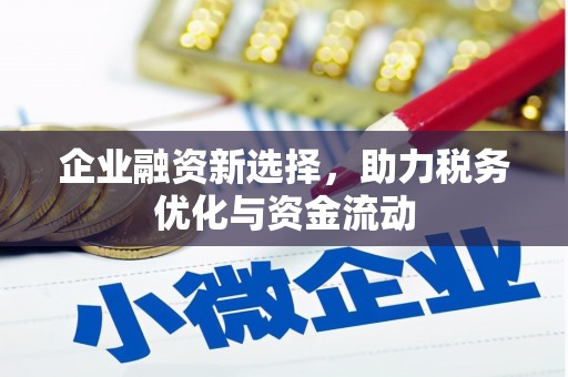 靖西企业融资新选择，助力税务优化与资金流动