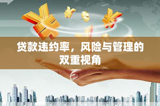 靖西贷款违约率，风险与管理的双重视角