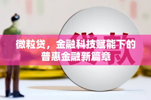 靖西微粒贷，金融科技赋能下的普惠金融新篇章