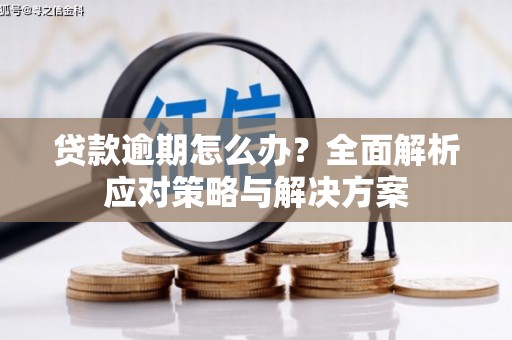 靖西贷款逾期怎么办？全面解析应对策略与解决方案