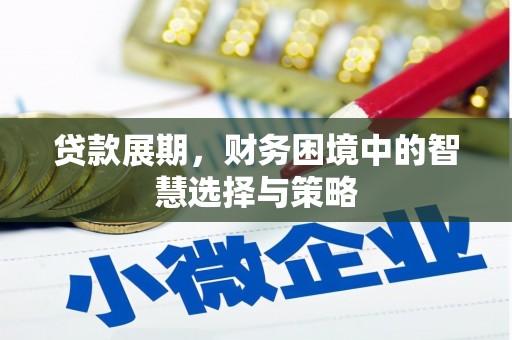 靖西贷款展期，财务困境中的智慧选择与策略