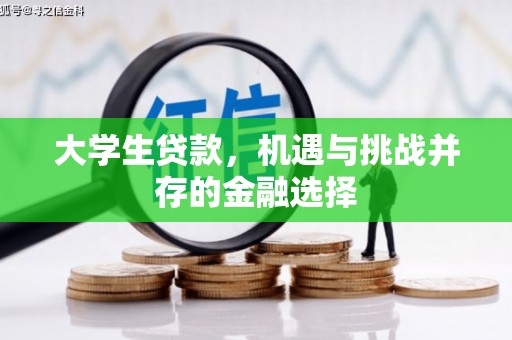 靖西大学生贷款，机遇与挑战并存的金融选择