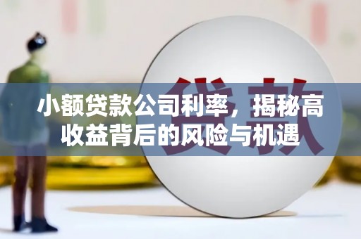 靖西小额贷款公司利率，揭秘高收益背后的风险与机遇