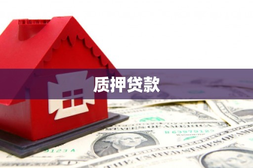 靖西质押贷款