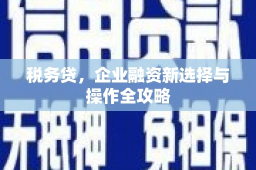 靖西税务贷，企业融资新选择与操作全攻略