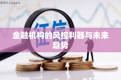 靖西金融机构的风控利器与未来趋势
