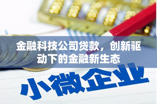 靖西金融科技公司贷款，创新驱动下的金融新生态