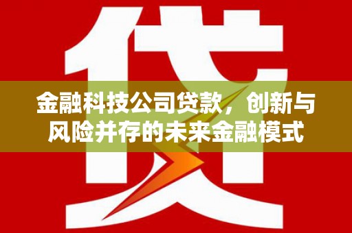 靖西金融科技公司贷款，创新与风险并存的未来金融模式