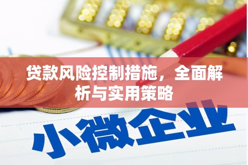 靖西贷款风险控制措施，全面解析与实用策略