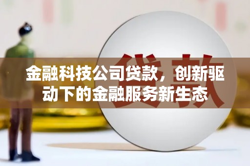 靖西金融科技公司贷款，创新驱动下的金融服务新生态
