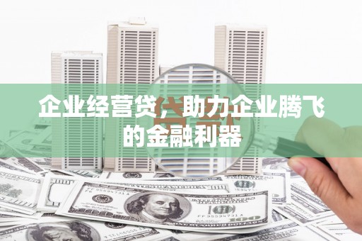 靖西企业经营贷，助力企业腾飞的金融利器