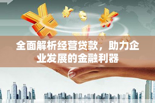 靖西全面解析经营贷款，助力企业发展的金融利器