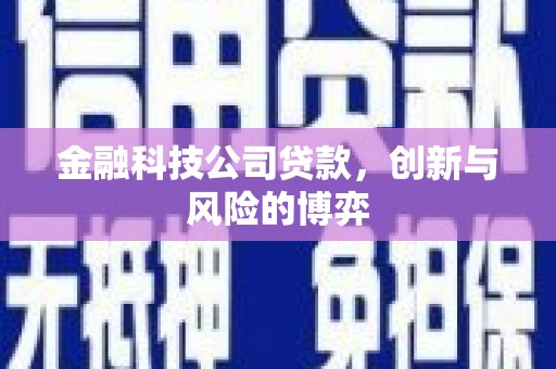 靖西金融科技公司贷款，创新与风险的博弈