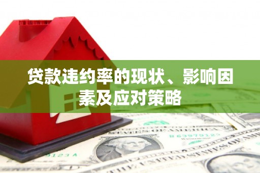靖西贷款违约率的现状、影响因素及应对策略