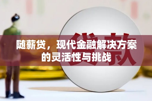 靖西随薪贷，现代金融解决方案的灵活性与挑战