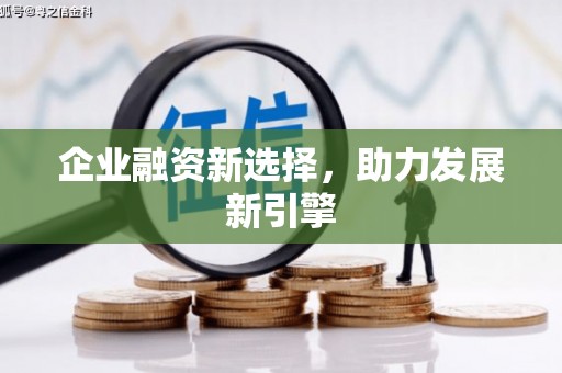 靖西企业融资新选择，助力发展新引擎