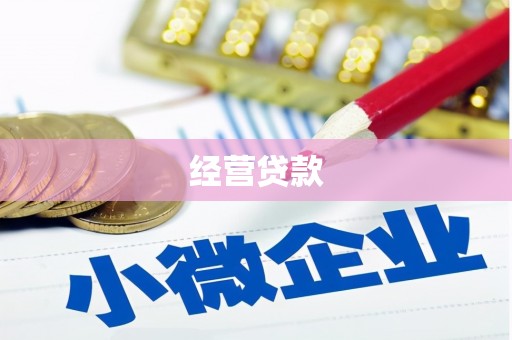 靖西经营贷款