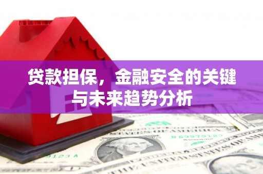 靖西贷款担保，金融安全的关键与未来趋势分析