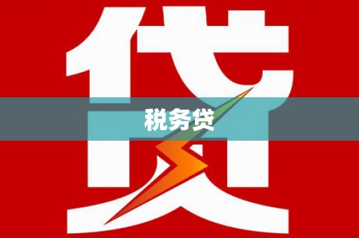 靖西税务贷