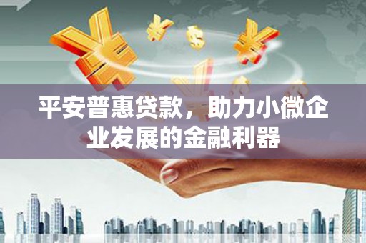 靖西平安普惠贷款，助力小微企业发展的金融利器