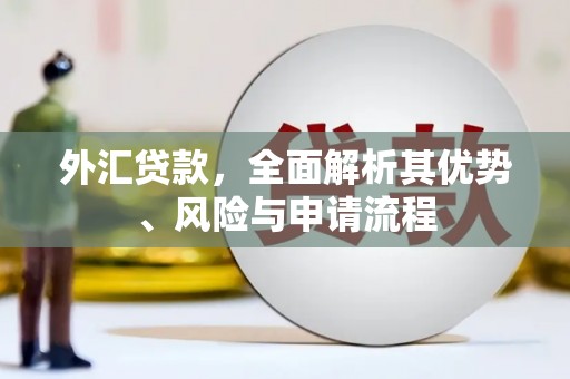 靖西外汇贷款，全面解析其优势、风险与申请流程