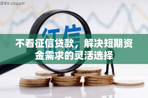 靖西不看征信贷款，解决短期资金需求的灵活选择