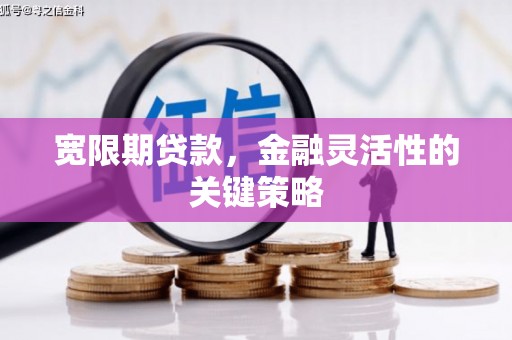 靖西宽限期贷款，金融灵活性的关键策略