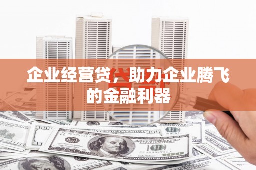 靖西企业经营贷，助力企业腾飞的金融利器