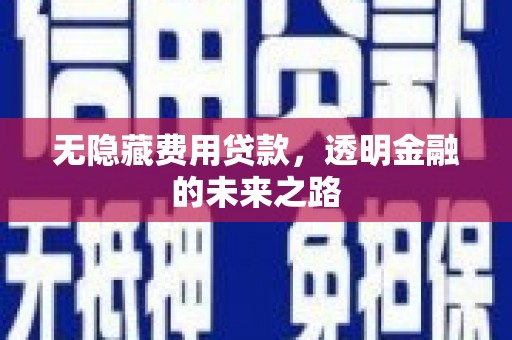 靖西无隐藏费用贷款，透明金融的未来之路