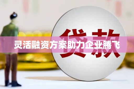 靖西灵活融资方案助力企业腾飞