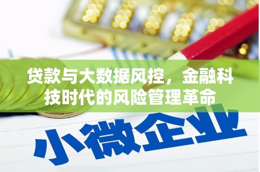 靖西贷款与大数据风控，金融科技时代的风险管理革命
