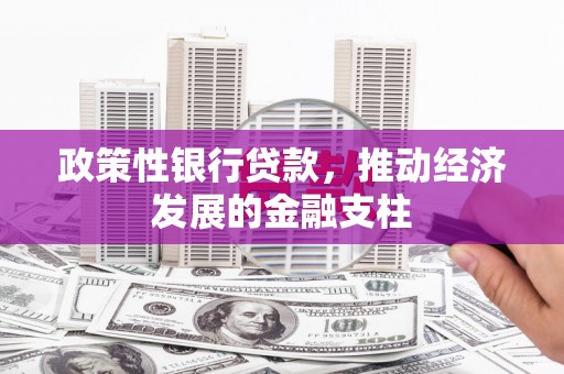 靖西政策性银行贷款，推动经济发展的金融支柱