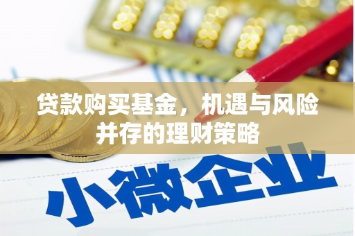 靖西贷款购买基金，机遇与风险并存的理财策略