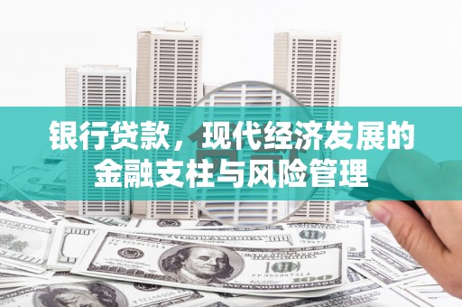 靖西银行贷款，现代经济发展的金融支柱与风险管理