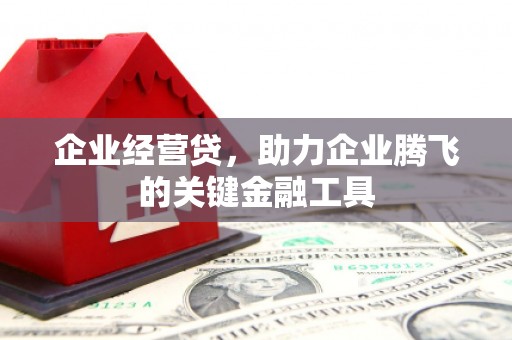 靖西企业经营贷，助力企业腾飞的关键金融工具