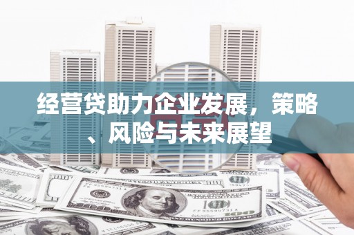 靖西经营贷助力企业发展，策略、风险与未来展望
