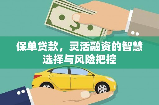 靖西保单贷款，灵活融资的智慧选择与风险把控