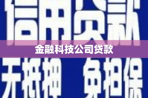 靖西金融科技公司贷款