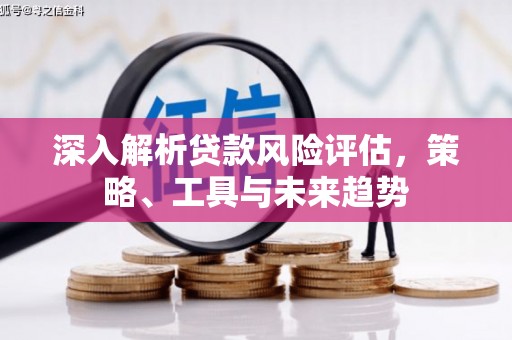靖西深入解析贷款风险评估，策略、工具与未来趋势