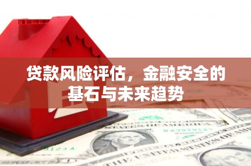 靖西贷款风险评估，金融安全的基石与未来趋势
