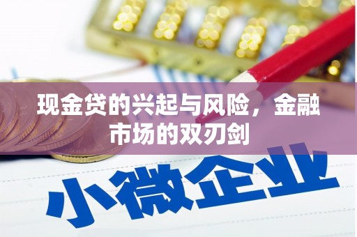 靖西现金贷的兴起与风险，金融市场的双刃剑