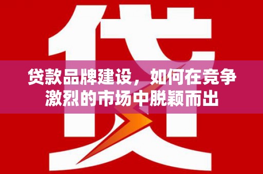靖西贷款品牌建设，如何在竞争激烈的市场中脱颖而出