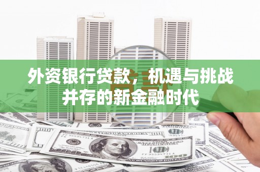 靖西外资银行贷款，机遇与挑战并存的新金融时代